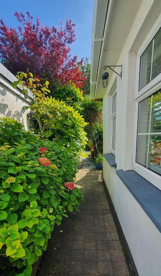 124 ,Castlelawn Heights, Headford Road Galway Homestay Buitenkant foto